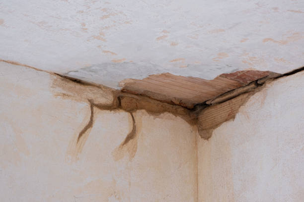 Best Professional water damage repair  in Saginaw, TX